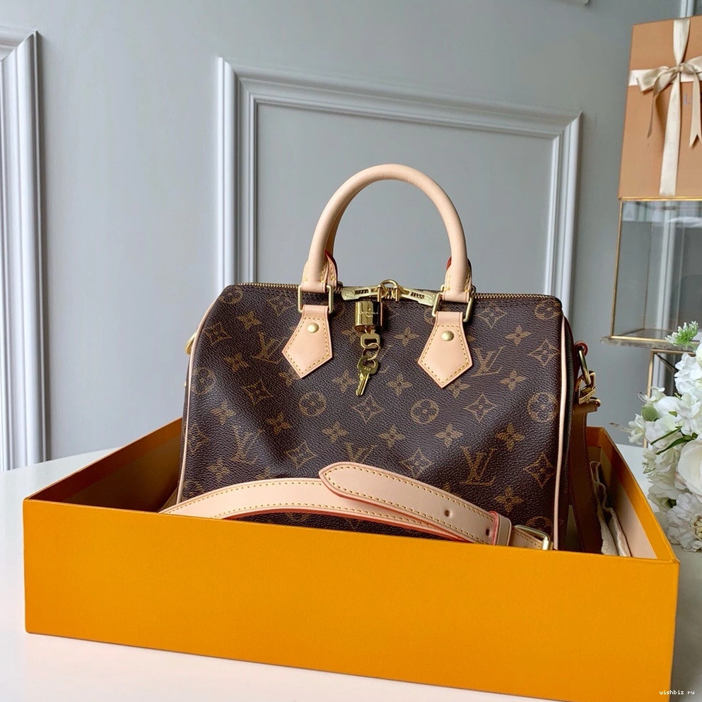 WIS Vuitton BANDOULIERE SPEEDY 25 Louis 0205
